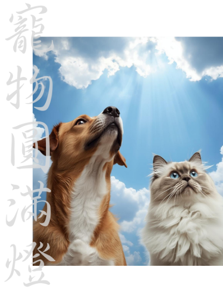 ff211209134250283870C